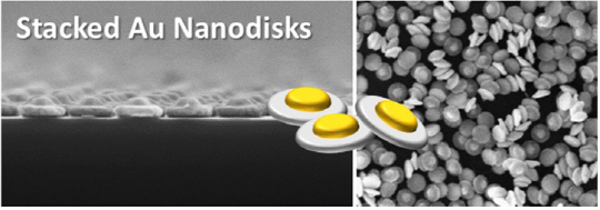 달걀프라이 형태로 합성된 금 나노입자의 전자현미경 사진./사진제공=한국표준과학연구원