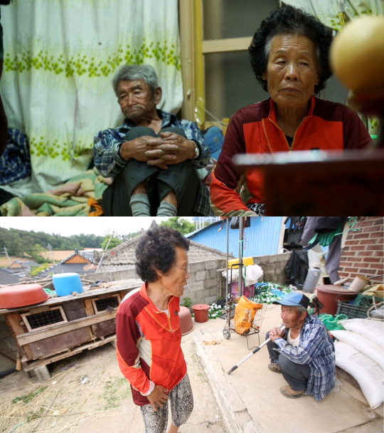 ‘다큐공감’ 전남 함평 노부부, 전쟁이 맺어준 인연 60년 부부 인생 이야기