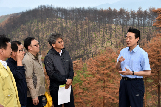 김용하(사진 오른쪽 첫번째) 산림청 차장이 강원도 삼척 산불피해지를 방문해 피해지 관리방안 등을 논의했다. 사진제공=산림청