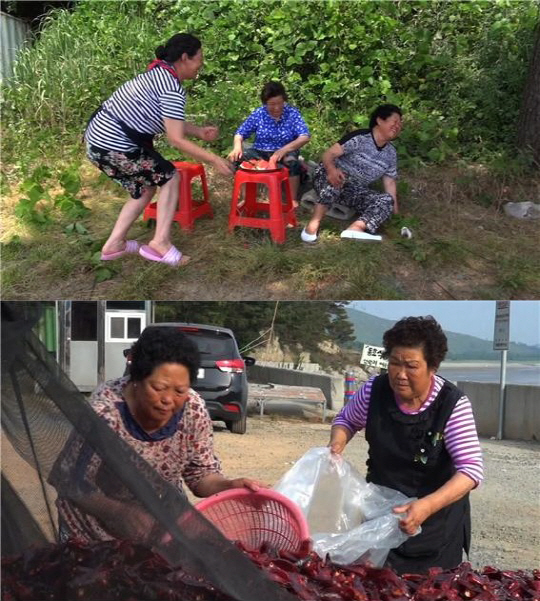 ‘리얼스토리 눈’ 충남 보령 민박집, 홀어머니 삼총사의 동고동락 이야기