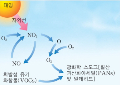 자동차 배출가스에 있는 질소 산화물(NOx)와 석유화학 물질에서 나온 휘발성유기화합물(VOCs)가 강한 햇빛과 화학반응해서 오존이 만들어진다