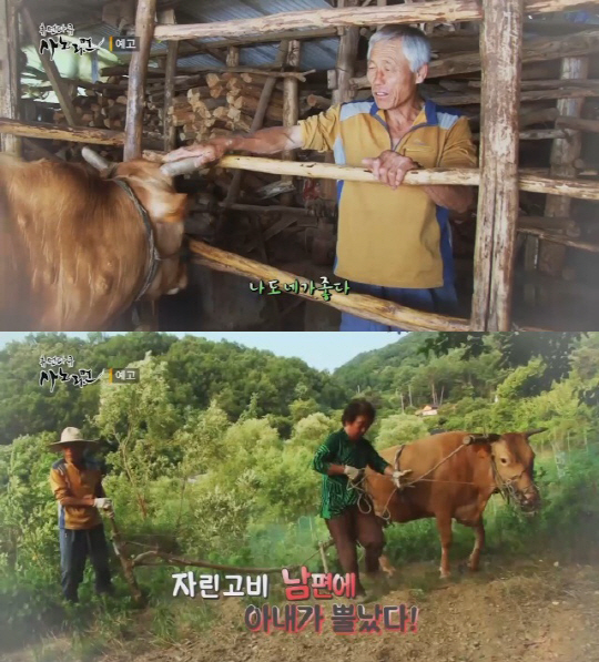 ‘휴먼다큐 사노라면’ 소문난 자린고비 남편의 못 말리는 소사랑