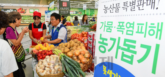 6일 오전 서울 양재동 농협 하나로마트에서 농협유통 김병문 대표이사와 직원들이 가뭄과 폭염 피해 농가 돕기를 위한 소형과 판매를 진행하고 있다.  5일부터 물량 소진시까지 진행되는 이번 행사는 상품서은 있으나 소형과 등으로 판로 확보에 어려움을 겪고 있는 자두, 복숭아 등 과일 2품목과 양파, 마늘, 대파, 감자 등 채소 4품목으로 진행한다./송은석기자songthomas@sedaily.com