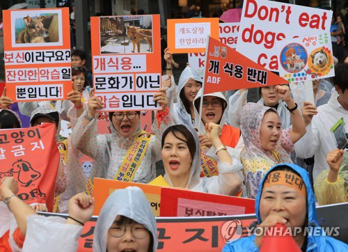 서울 도심서 개고기·복날 반대 행진…“개고기는 한국 발전의 걸림돌”