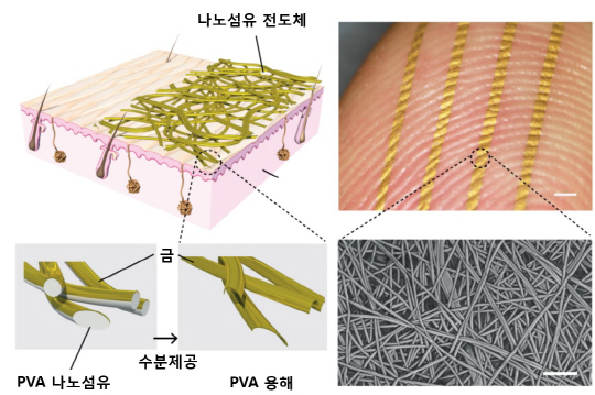 연구팀이 개발한 나노섬유 기반 전자피부 모식도 및 사진. 전자 피부는 수많은 고분자 나노섬유 위에 구성돼 있으며 피부에 부착한 후 물을 뿌려주면 손쉽게 접착된다. /사진제공=DGIST