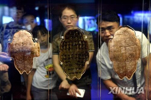 中 박물관, 갑골문자 해독에 1천600만원 포상금 걸어