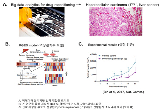 빅데이터 분석을 통해 신약 재창출 후보로 선정된 구충제에서 간암 환자 조직 억제 효과를 확인했다. /사진제공=한국과학기술정보연구원