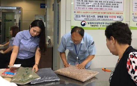 농림축산검역본부는 휴가철 잦은 해외여행객에 의한 식물류 반입과 악성병해충 유입을 막기 위해 오는 31일부터 다음 달 13일까지 특별검역을 한다. 사진은 여행객 휴대식물 검역장면/농림축산검역본부 호남본부 제공=연합뉴스