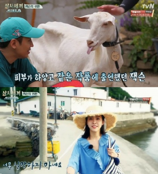 ‘삼시세끼’ 이서진, 산양 잭슨 게스트 등장에 “기대한 내가 미쳤지”