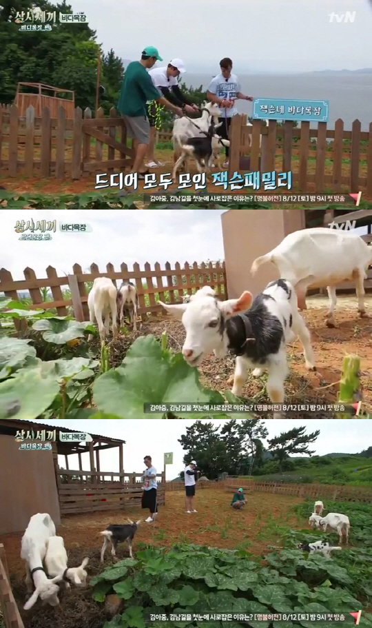 사진=‘삼시세끼’ 캡처