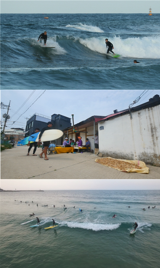 ‘다큐공감’ 양양 죽도해수욕장, 4계절 서퍼들의 ‘천국’된 사연은?