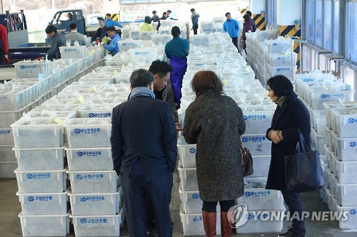 수산물 수출, 15개월 연속 상승...월간 수출액 4개월 연속 2억달러 넘어