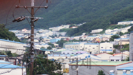 경남 김해시 산동면 매리의 산골짜기를 수많은 공장들이 중턱까지 점령했다. 싼 부지를 찾아 영세 소기업들이 대거 진입하면서 숲보다 건물이 더 많은 ‘공장 숲’이 돼버렸다./김해=송영규 선임기자