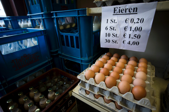 '살충제 계란' 영국에서도 유통 확인