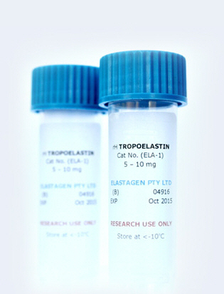 엘라스타젠이 원천기술을 보유하고 있는 ‘트로포엘라스틴(Tropoelastin)’/사진제공=엘라스타젠