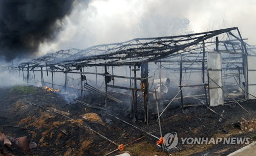 폭염 속 전북 익산 양계장서 불…토종닭 2만5천 마리 폐사