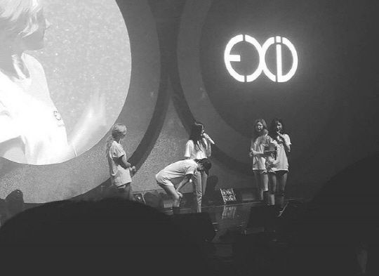 솔지, EXID 콘서트 깜짝 등장에 멤버·팬들 ‘울음바다’…“행복했어요”