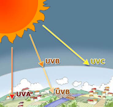 자외선C는 대기중 오존층에 흡수돼 안전하지만, 자외선A와 자외선B는 지표면에 닿아 피부에 영향을 준다. 자외선A가 미차는 영향이 가장 강력하다.
