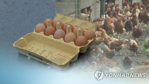 국내산 계란서도 살충제 성분 검출…출하 중단·전수 검사 실시