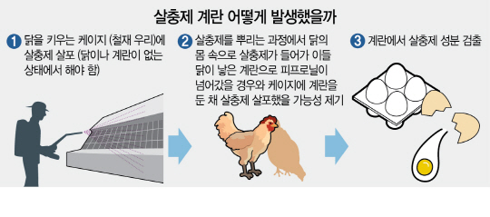 살충제 계란 파문 확산 살충제 계란이 버젓이 무항생제 인증 도마 오른 당국 위생관리 서울경제