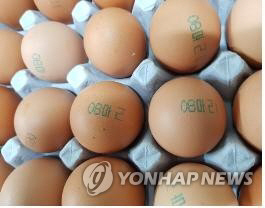 살충제 성분이 검출된 농장의 계란 /연합뉴스