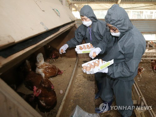 ‘살충제계란 파문’ 전남 나주 계란서도 비펜트린 검출