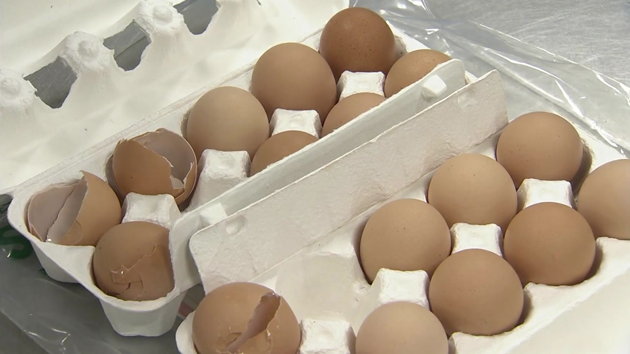 강원도 철원 농장서도 '피프로닐' 추가 검출...살충제 계란 파문 가속화