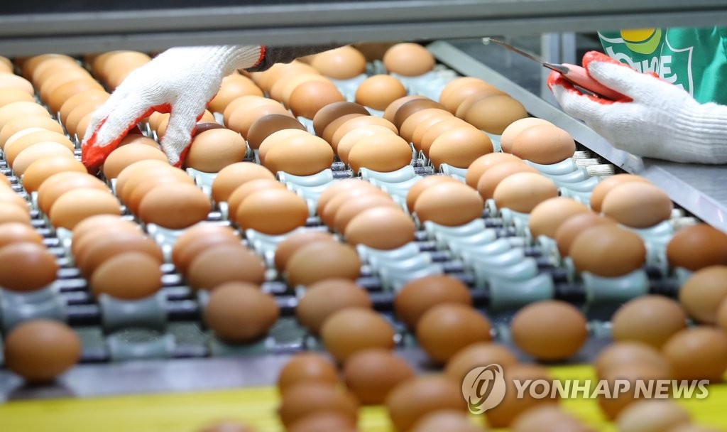 文대통령 살충제 계란 논란에 '전수조사 실시해야...국민에게 소상히 알릴 것'