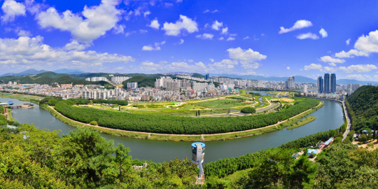 태화강변으로 십리대숲을 품고 있는 울산태화강대공원. /사진제공=울산시