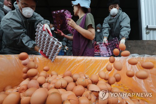 '살충제 달걀'서 새로 검출된 에톡사졸·플루페녹수론…'만성독성' 위험