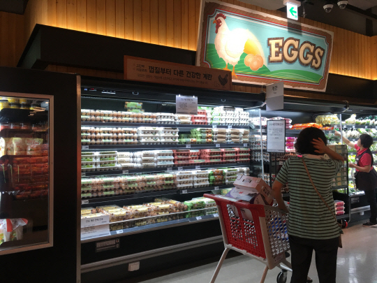 17일 오전 롯데마트 양평점의 계란 판매 코너 앞에서 소비자가 계란을 구매할지 고민하고 있다./변수연기자
