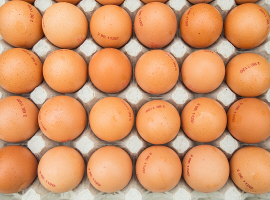 유럽에서 유통 중인 계란 /EPA연합뉴스