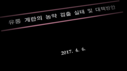 한국소비자연맹의 지난 4월 ‘살충제 계란’ 관련 보고서 내용. (영상캡처)