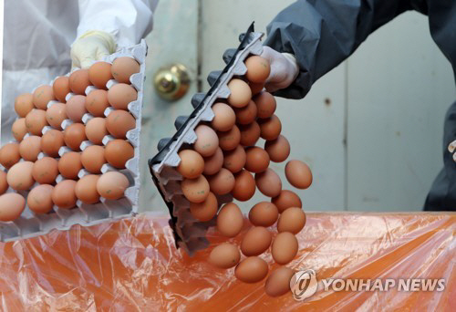 ‘살충제 계란’ 1명당 年 12.5개씩 먹은 대한민국