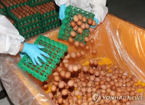 식약처, 살충제 계란 농장 조사 결과 발표 예정...폐기-수거 현황도 공개