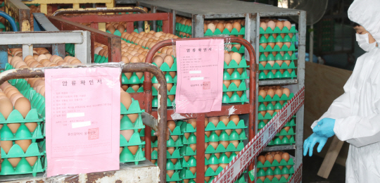 경찰이 ‘살충제 계란’에서 검출된 피프로닐 살충제를 제조·유통한 동물약품업체를 21일 압수수색했다./연합뉴스