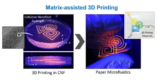 셀룰로오스 나노 섬유를 3D 프린팅 매트릭스로 활용하여 내부에 3차원의 채널을 도입할 수 있었다.  /사진제공=한국연구재단