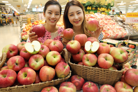 23일 서울 이마트 용산점에서 모델들이 올해 첫 햇사과인 문경 홍로 사과를 선보이고 있다./사진제공=이마트
