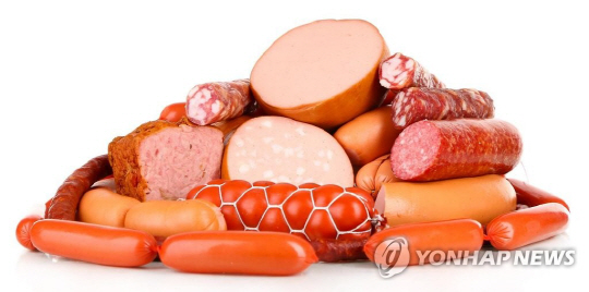 ‘E형 간염 파문’ 유럽산 비가열 햄·소시지 제품 검사 강화