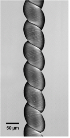 탄소나노튜브를 한쪽 방향으로 과도하게 꼬아서 코일 형태로 만든 실이다. 직경이  60~70 마이크로미터로 사람의 머리카락보다 얇으며수축이완을 쉽게 할 수 있다. /사진제공=과학기술정보통신부