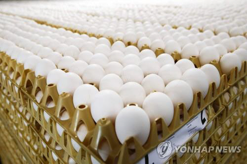 유럽 ‘살충제 계란’ 사태 확산/연합뉴스