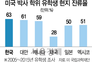 2815A01 미국박사현지잔류율