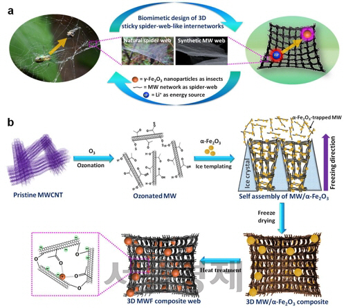 거미줄 구조 닮은 리튬이온전지 전극 소재 모식도.