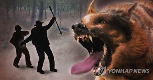 경찰 관계자는 “현행법상 개에게 목줄과 입마개를 하지 않은 것만으로 강력한 처벌을 받기 어렵다”고 전했다. / 연합뉴스