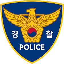 한 경찰이 음주 운전 사고를 낸 것도 모자라 도주하다가 피해자에 붙잡혔다./연합뉴스