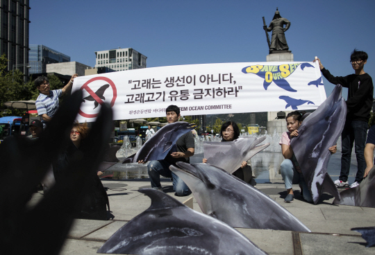 14일 서울 중구 광화문광장에서 환경보건시민센터 관계자들이 고래고기 유통 금지 촉구 기자회견을 진행하고 있다. /연합뉴스