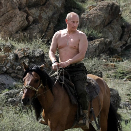 상의를 탈의하고 말을 타고 있는 블라디미르 푸틴 러시아 대통령 /트위터 캡처