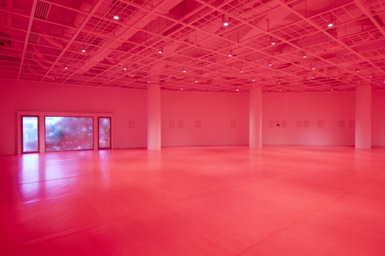 개념미술가 구정아가 드로잉 60점 연작 ‘닥터 포크트(Dr. Vogt)’를 선보인 전시장 전경. 바닥을 형광분홍색으로 칠해 공간 전체가 붉은 빛이다. /사진제공=아트선재센터