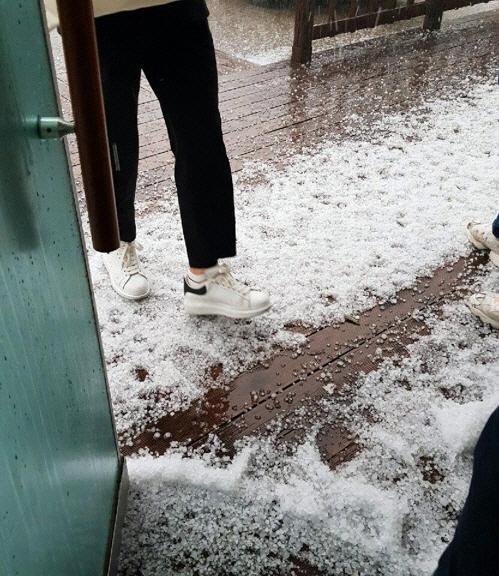 19일 오후 2시부터 1시간 동안 충북 북부지역에 강한 비와 함께 우박이 쏟아져 시에서 피해 상황을 파악하고 있다,/연합뉴스