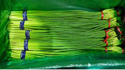 중국산 마늘종서 잔류농약 초과검출…회수·폐기 조치